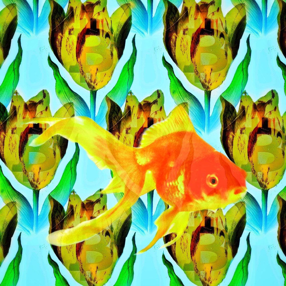 Popart voorstelling van een goudvis tussen een patroon van bitcoin en tulpen