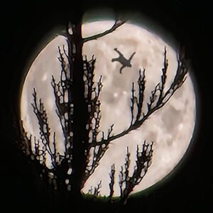 De contouren van een vallende man met op de achtergrond de volle maan en op de voorgrond takken van bomen. Surrealisme van Ruben van Gogh