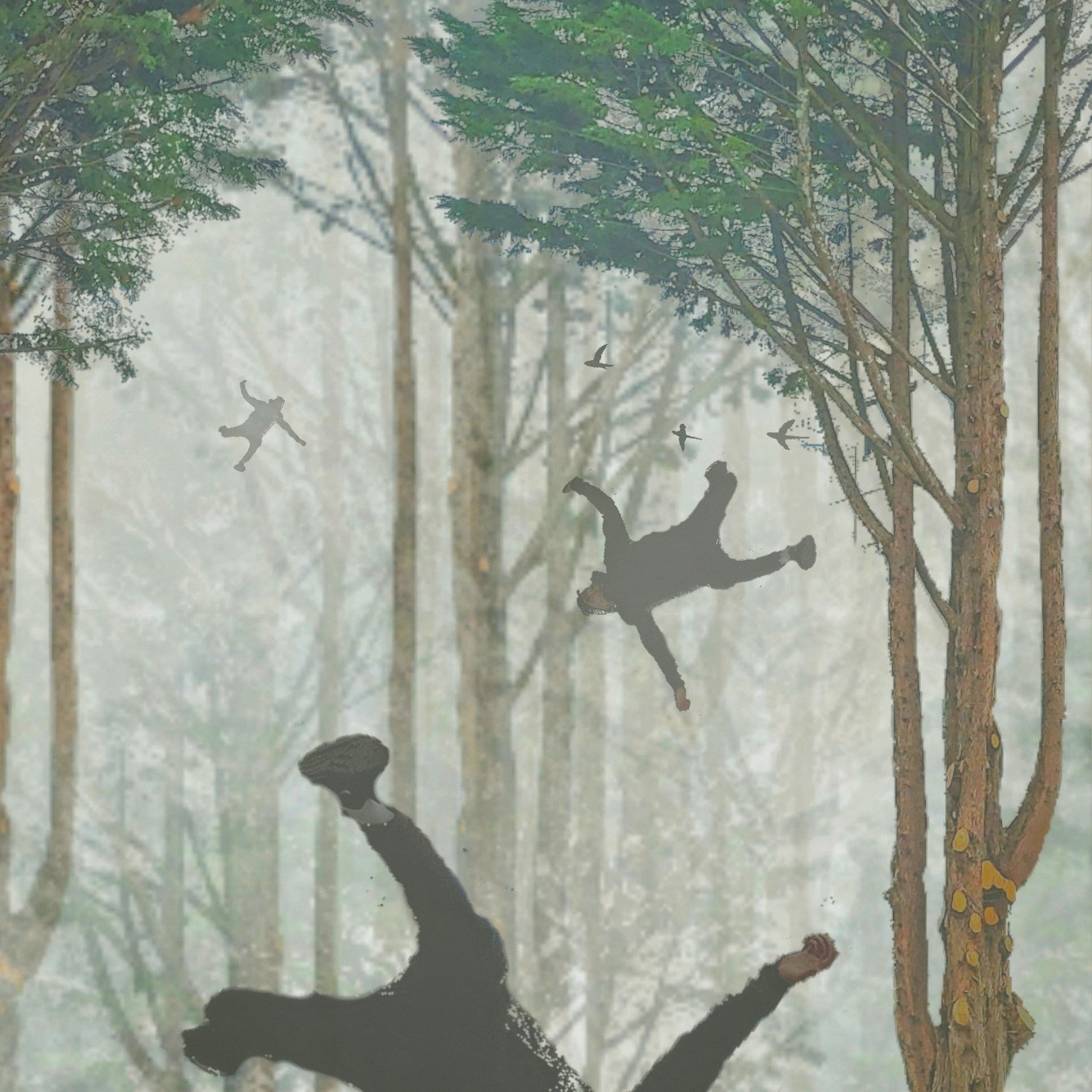 Surrealistische scène van uit de lucht vallende mannen in een bos (opgebouwd uit één boom). Vervreemdende foto-kunst van Ruben van Gogh