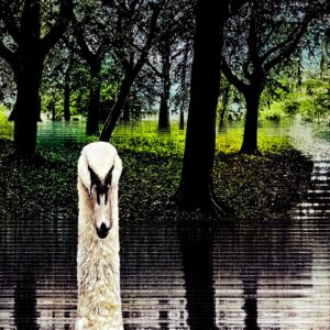 Een zwaan in een fantasy-park, in deze digitale fotocollage van Ruben van Gogh
