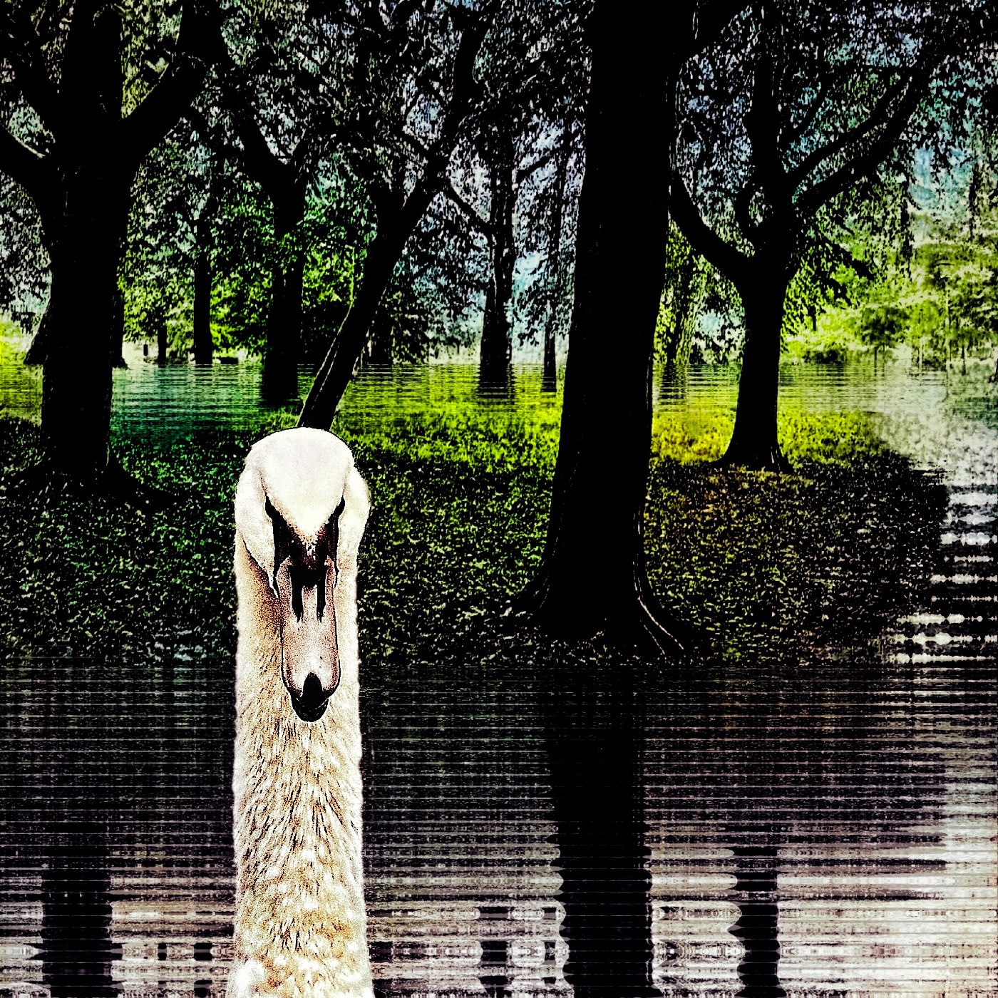 Een zwaan in een fantasy-park, in deze digitale fotocollage van Ruben van Gogh
